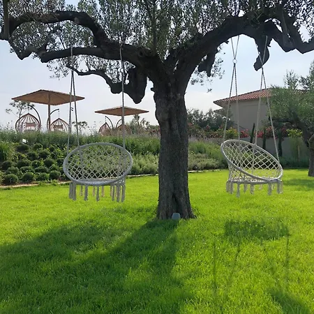 فندق Olivessa - Adults Only Age16 *